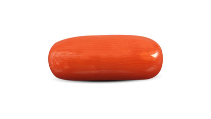 Italian Red Coral 8.63 Carats / 9.48 Ratti