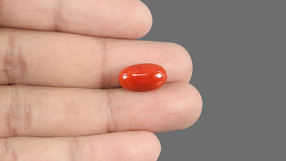 Italian Red Coral 8.65 Carats / 9.51 Ratti