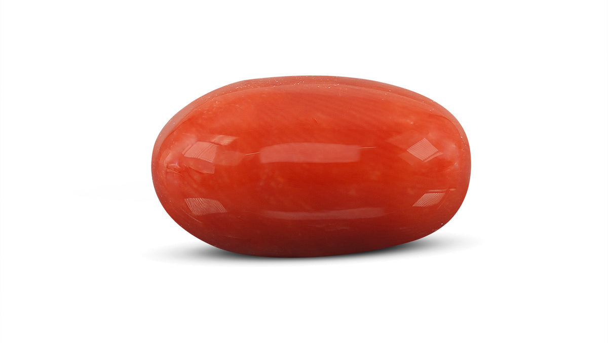 Italian Red Coral 8.65 Carats / 9.51 Ratti