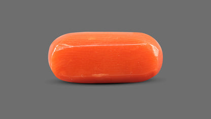 Italian Red Coral 8.73 Carats / 9.59 Ratti