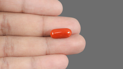 Italian Red Coral 8.73 Carats / 9.59 Ratti
