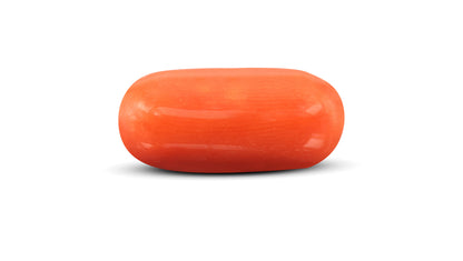 Italian Red Coral 8.73 Carats / 9.59 Ratti