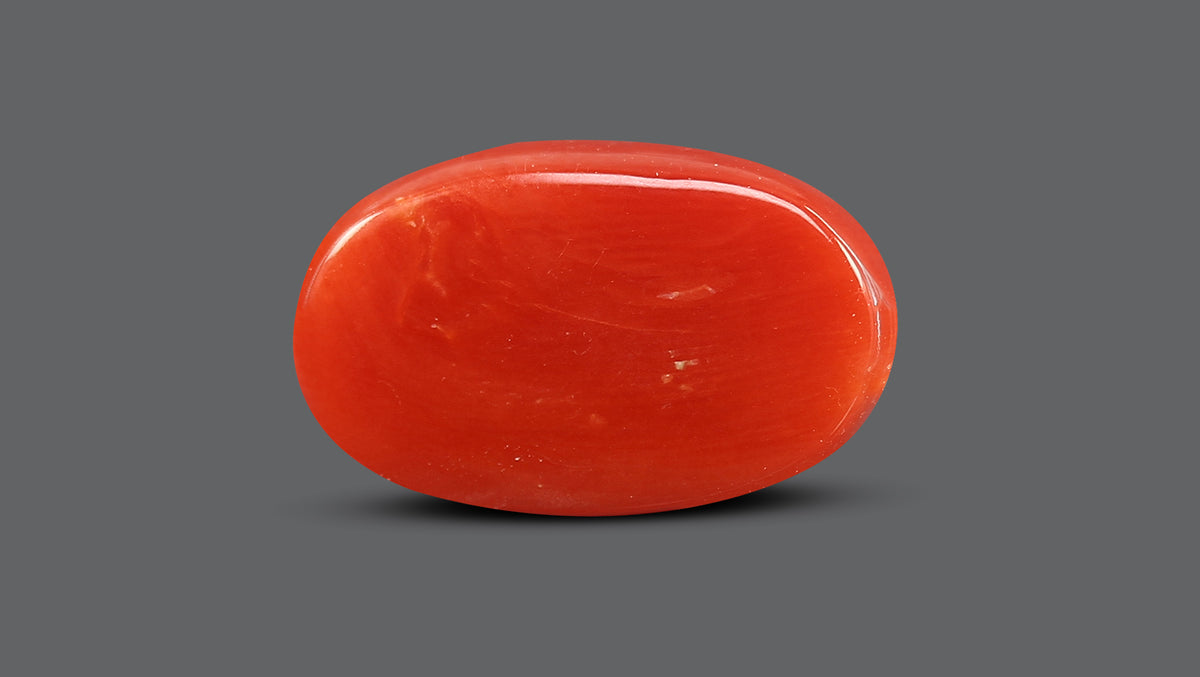 Italian Red Coral 10.82 Carats / 11.89 Ratti