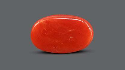 Italian Red Coral 10.82 Carats / 11.89 Ratti