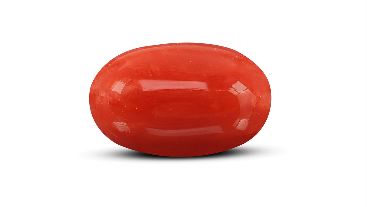 Italian Red Coral 10.82 Carats / 11.89 Ratti