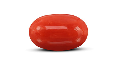 Italian Red Coral 10.82 Carats / 11.89 Ratti