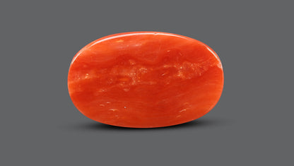 Italian Red Coral 10.36 Carats / 11.38 Ratti