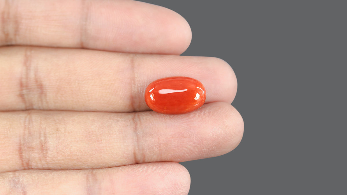 Italian Red Coral 10.36 Carats / 11.38 Ratti