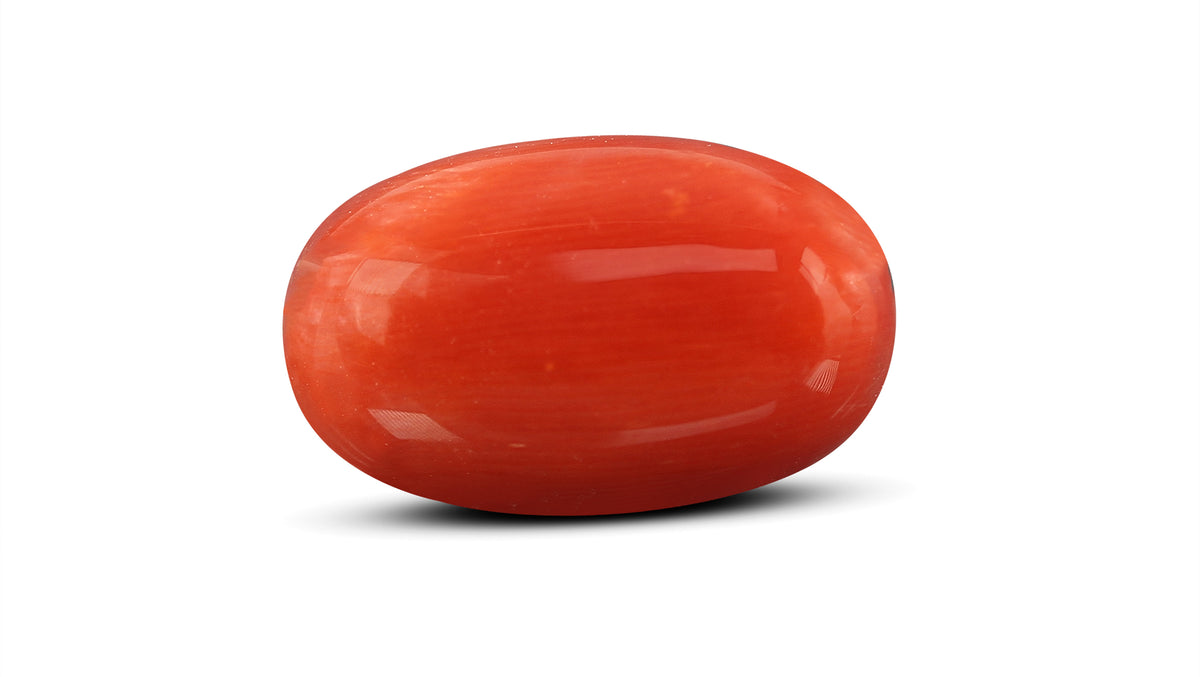 Italian Red Coral 10.36 Carats / 11.38 Ratti