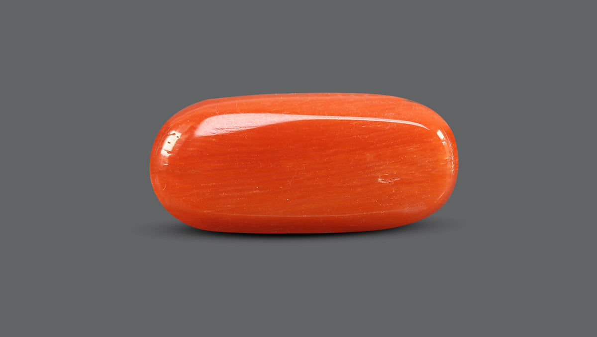 Italian Red Coral 10.51 Carats / 11.55 Ratti