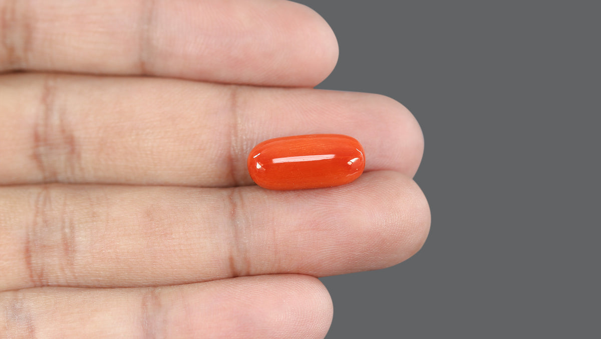 Italian Red Coral 10.51 Carats / 11.55 Ratti