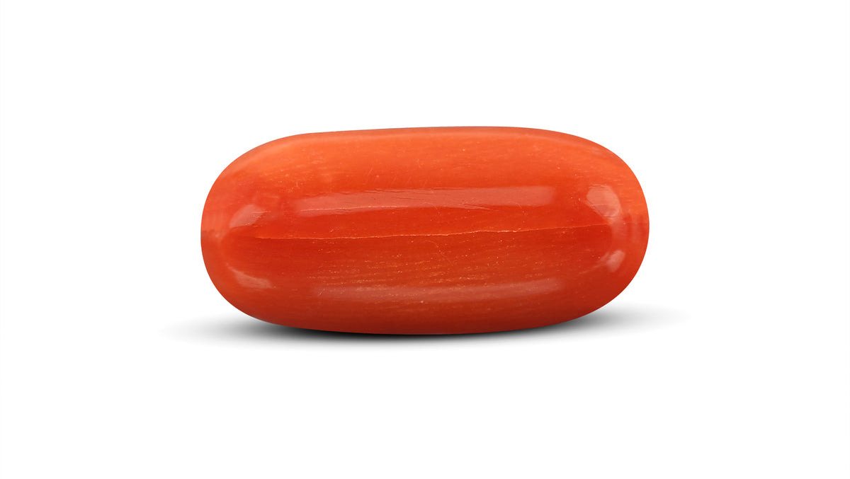 Italian Red Coral 10.51 Carats / 11.55 Ratti