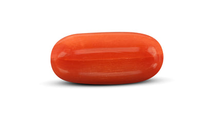 Italian Red Coral 10.51 Carats / 11.55 Ratti