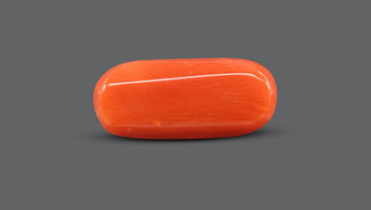 Italian Red Coral 10.90 Carats / 11.98 Ratti