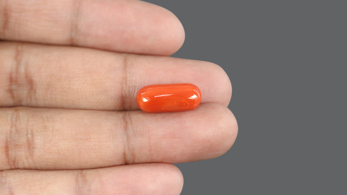 Italian Red Coral 10.90 Carats / 11.98 Ratti