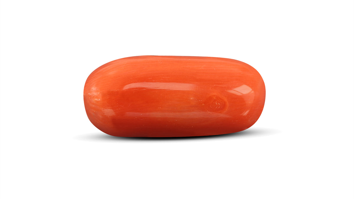 Italian Red Coral 10.90 Carats / 11.98 Ratti