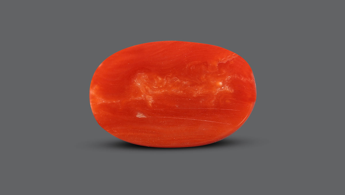Italian Red Coral 10.54 Carats / 11.58 Ratti