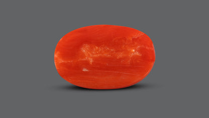Italian Red Coral 10.54 Carats / 11.58 Ratti