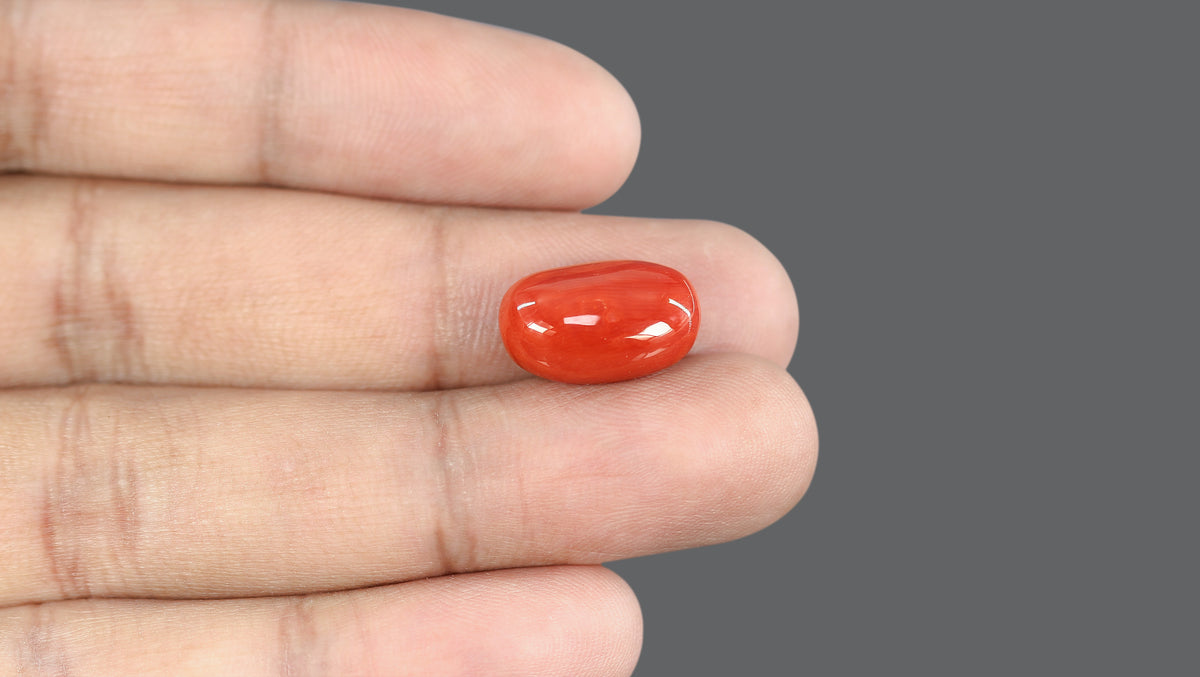 Italian Red Coral 10.54 Carats / 11.58 Ratti