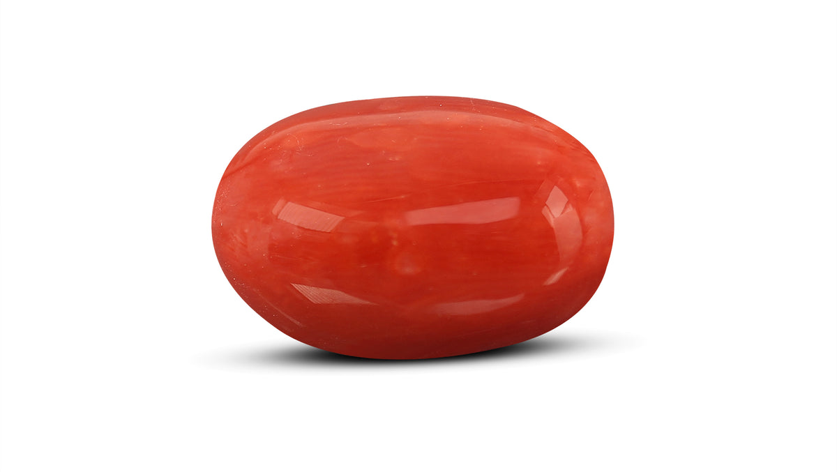 Italian Red Coral 10.54 Carats / 11.58 Ratti