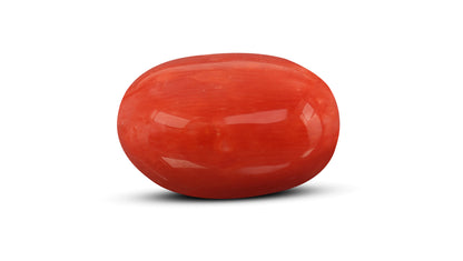 Italian Red Coral 10.54 Carats / 11.58 Ratti