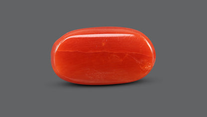 Italian Red Coral 10.05 Carats / 11.04 Ratti