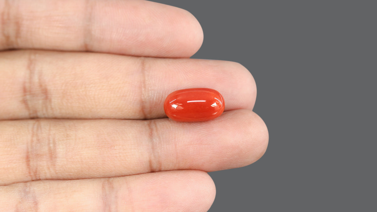 Italian Red Coral 10.05 Carats / 11.04 Ratti