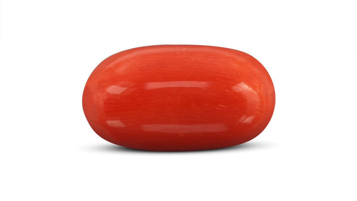 Italian Red Coral 10.05 Carats / 11.04 Ratti