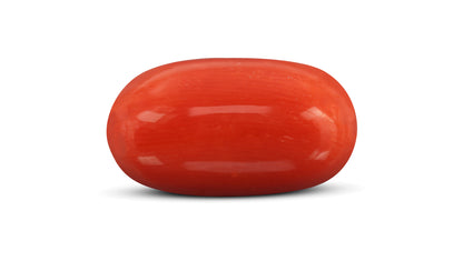 Italian Red Coral 10.05 Carats / 11.04 Ratti
