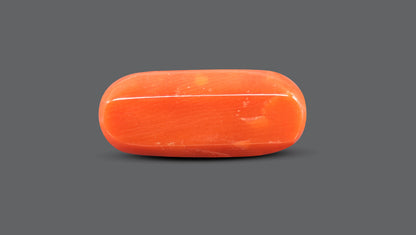 Italian Red Coral 10.14 Carats / 11.14 Ratti