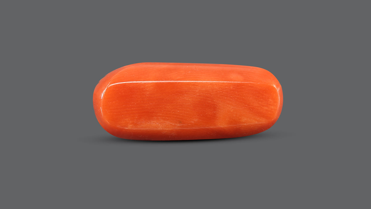 Italian Red Coral 10.31 Carats / 11.33 Ratti