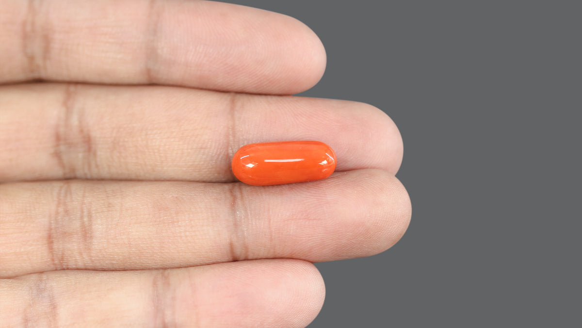 Italian Red Coral 10.31 Carats / 11.33 Ratti