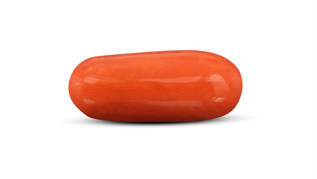 Italian Red Coral 10.31 Carats / 11.33 Ratti