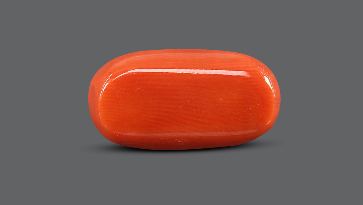 Italian Red Coral 9.83 Carats / 10.8 Ratti