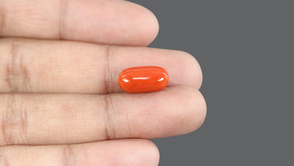 Italian Red Coral 9.83 Carats / 10.8 Ratti