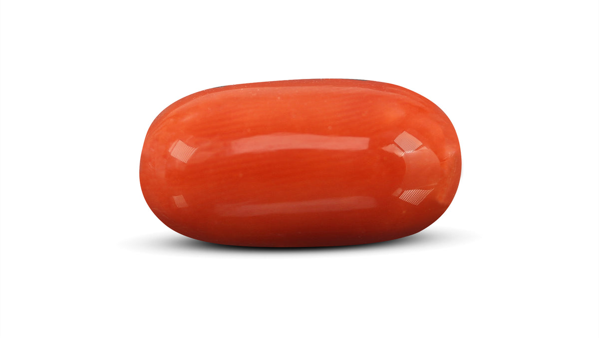 Italian Red Coral 9.83 Carats / 10.8 Ratti