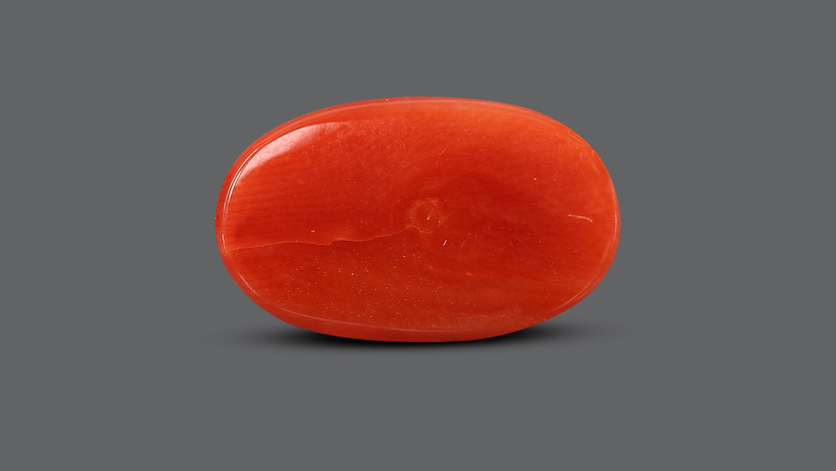 Italian Red Coral 9.81 Carats / 10.78 Ratti