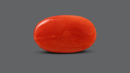 Italian Red Coral 9.81 Carats / 10.78 Ratti