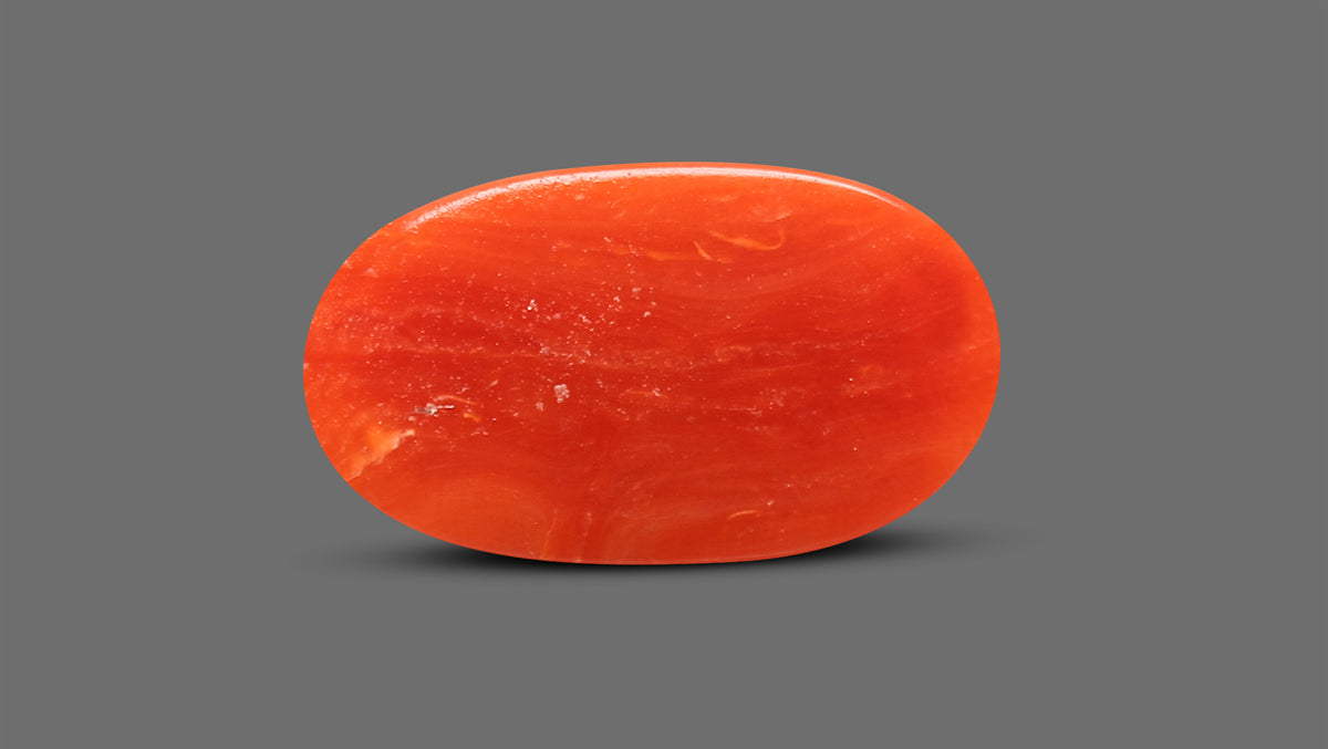 Italian Red Coral 6.98 Carats / 7.67 Ratti