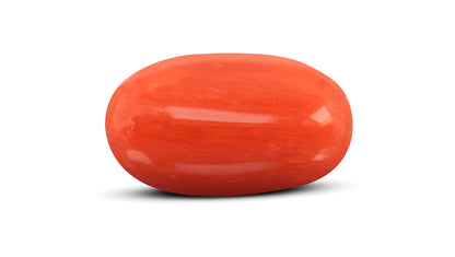 Italian Red Coral 6.98 Carats / 7.67 Ratti