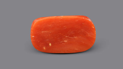 Italian Red Coral 6.80 Carats / 7.47 Ratti
