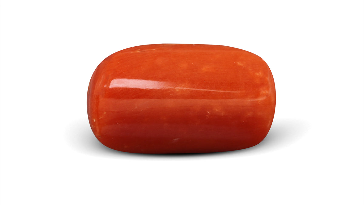 Italian Red Coral 6.80 Carats / 7.47 Ratti