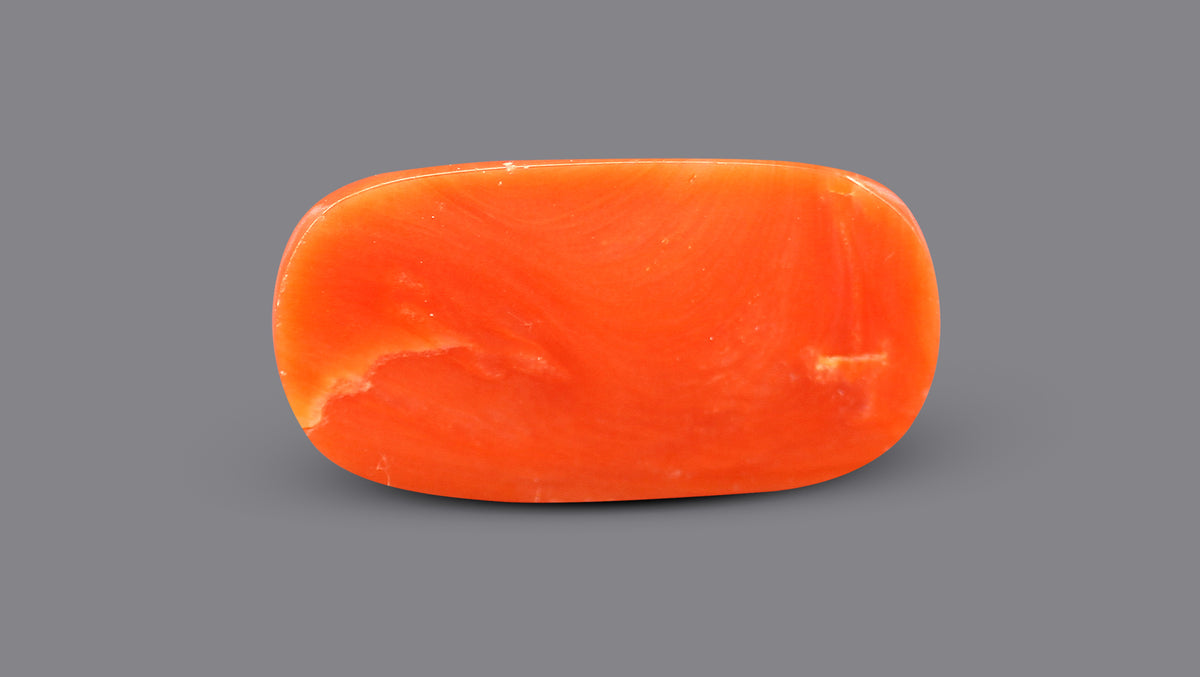 Italian Red Coral 6.84 Carats / 7.52 Ratti