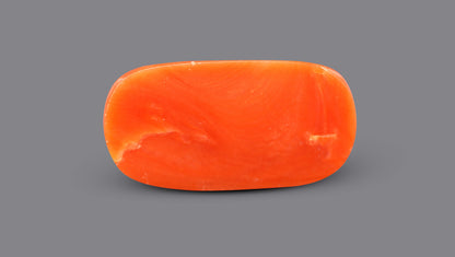 Italian Red Coral 6.84 Carats / 7.52 Ratti