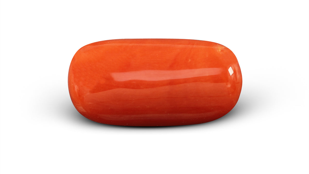 Italian Red Coral 6.84 Carats / 7.52 Ratti