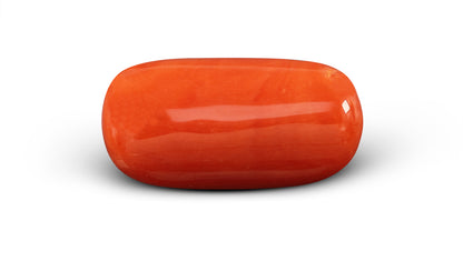 Italian Red Coral 6.84 Carats / 7.52 Ratti