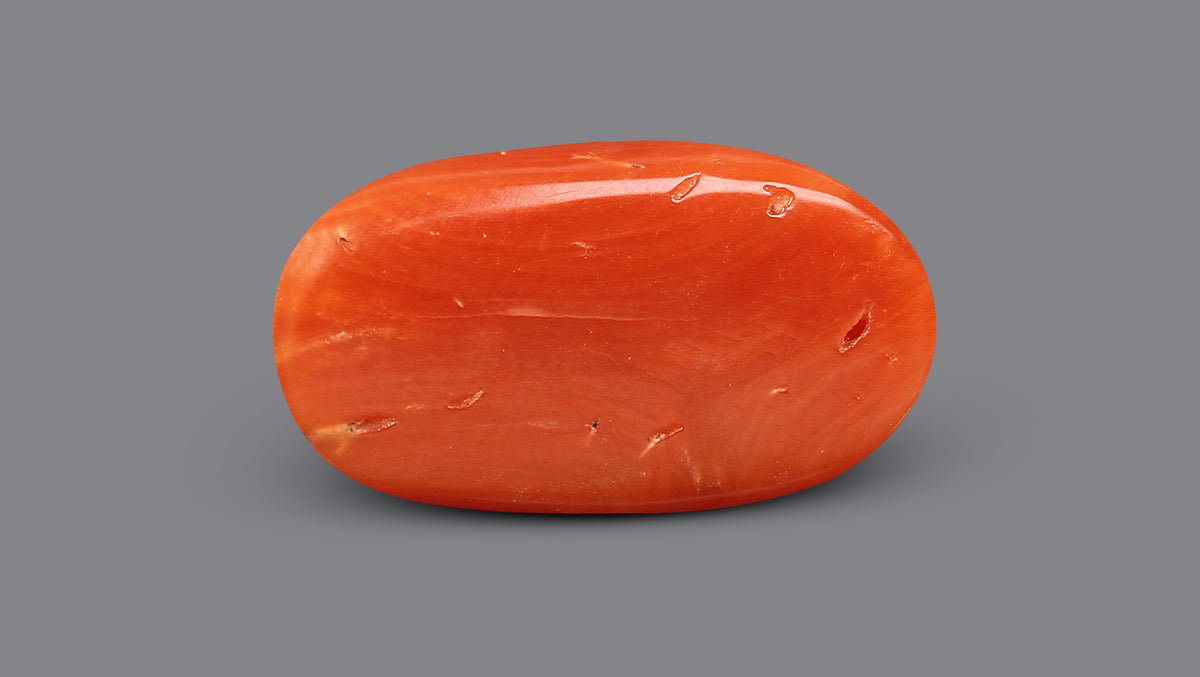 Italian Red Coral 7.13 Carats / 7.84 Ratti