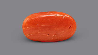 Italian Red Coral 7.13 Carats / 7.84 Ratti
