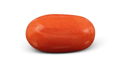 Italian Red Coral 7.13 Carats / 7.84 Ratti