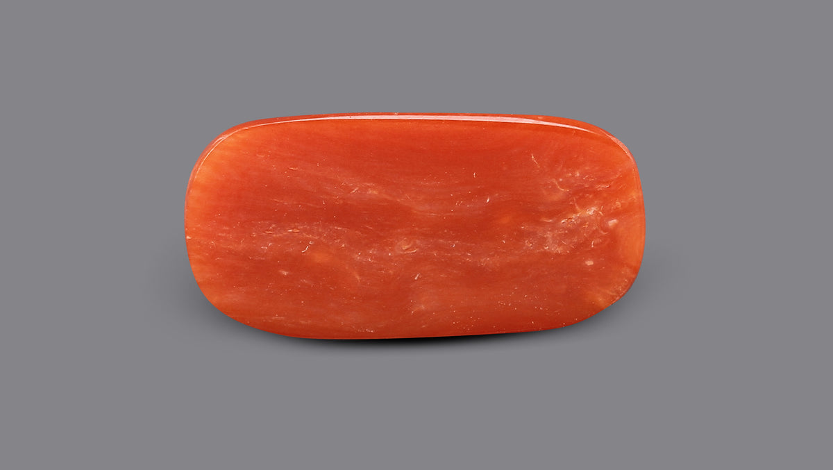 Italian Red Coral 7.36 Carats / 8.09 Ratti